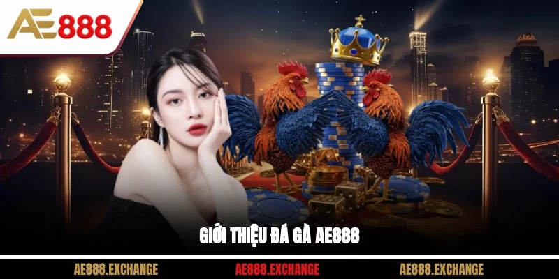 Giới thiệu đá gà AE888